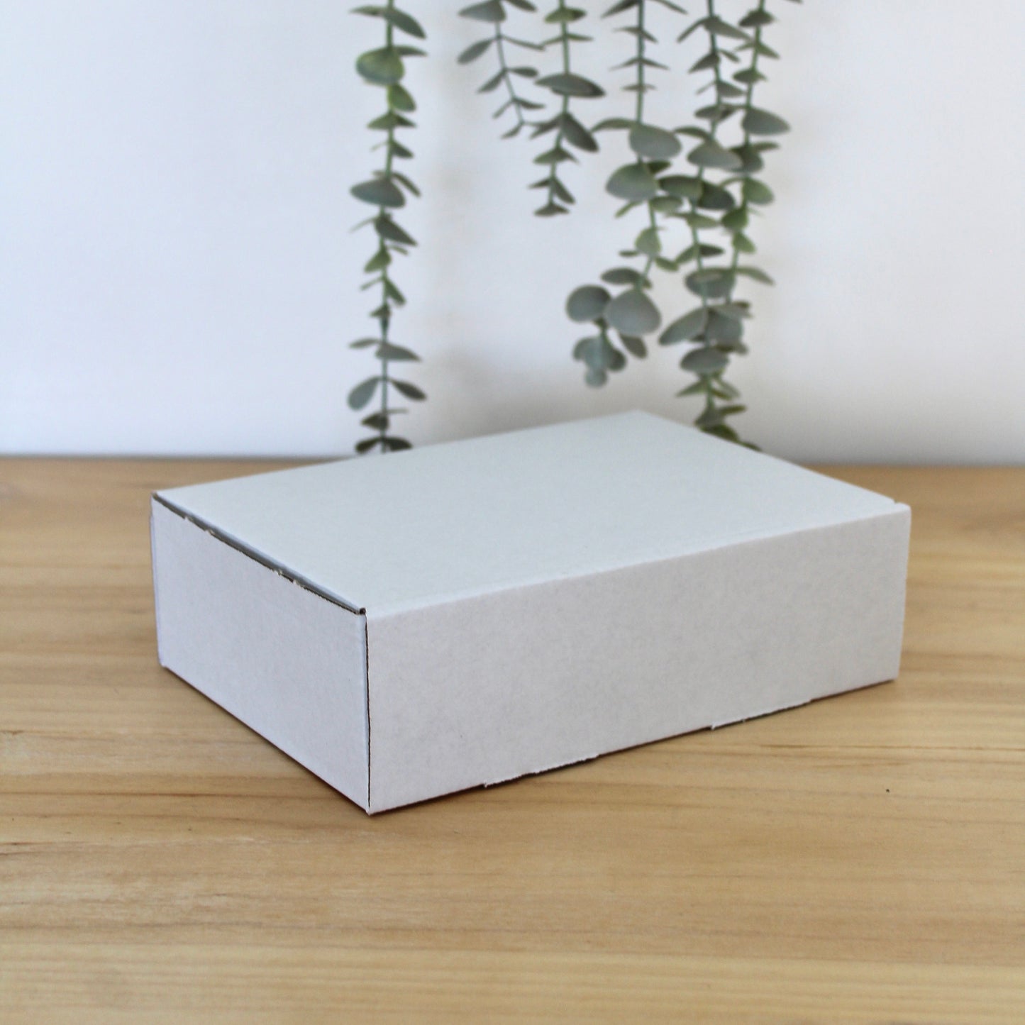 CAJA XS