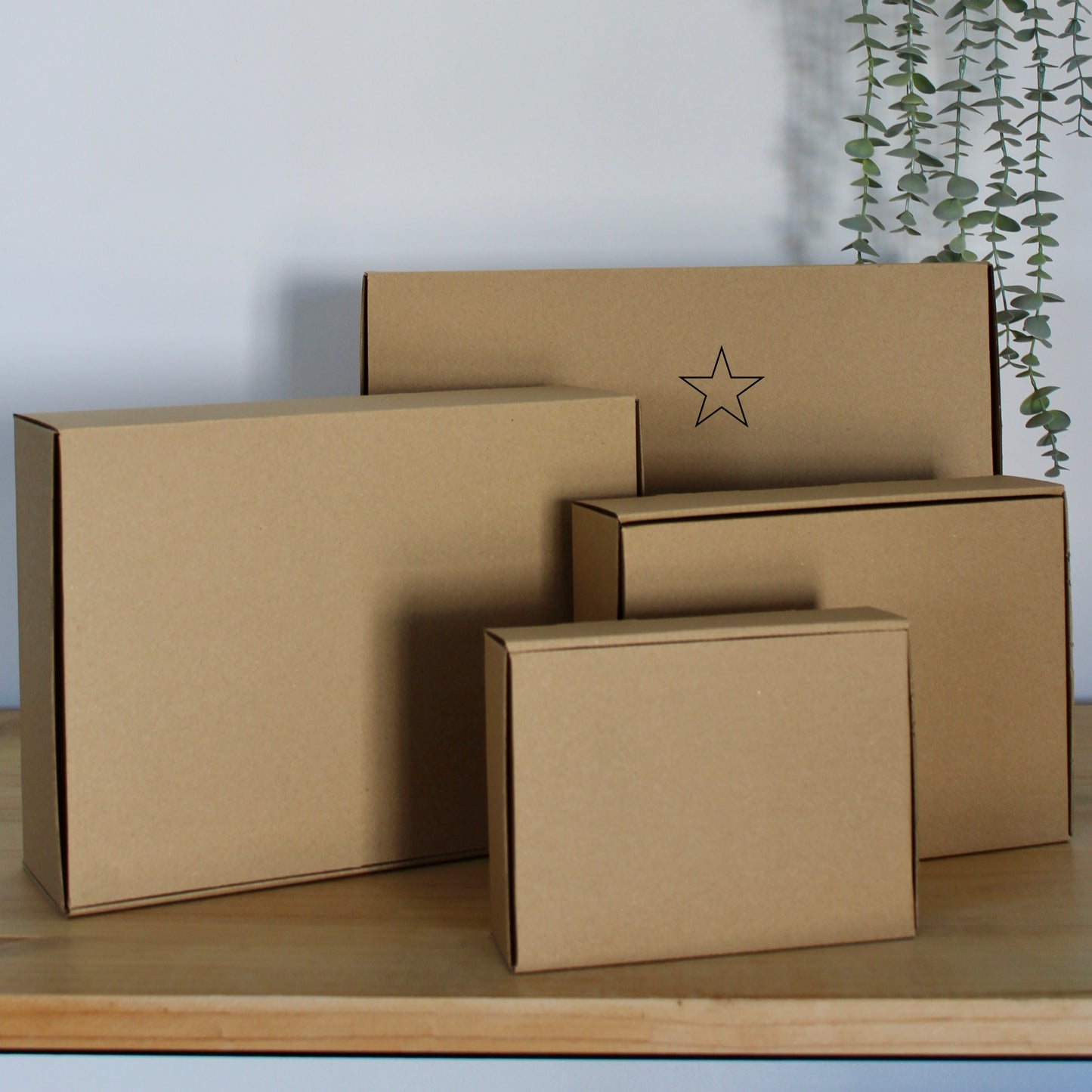 CAJA L