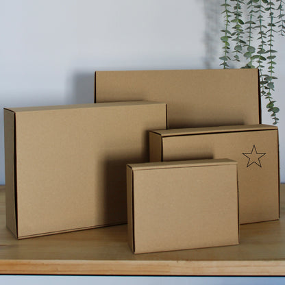 CAJA S