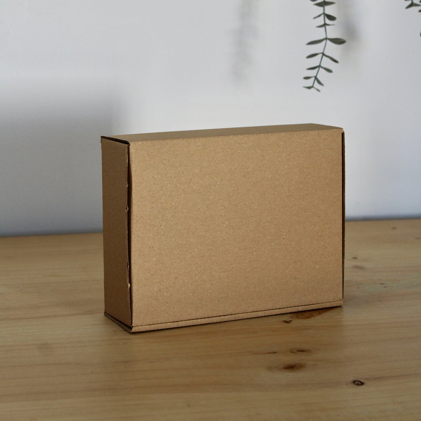 CAJA XS