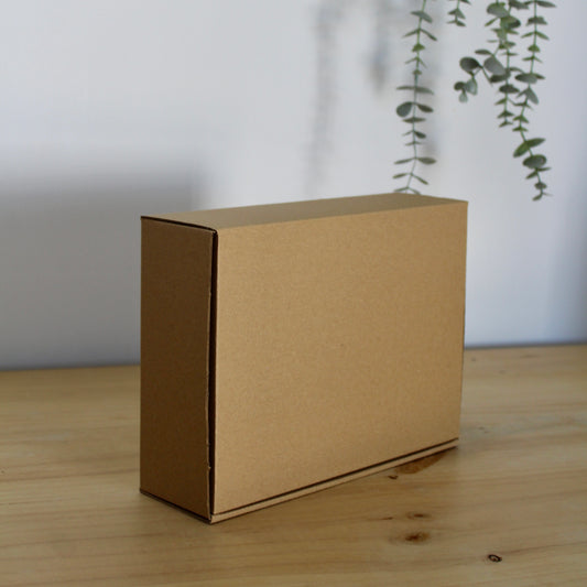 CAJA S