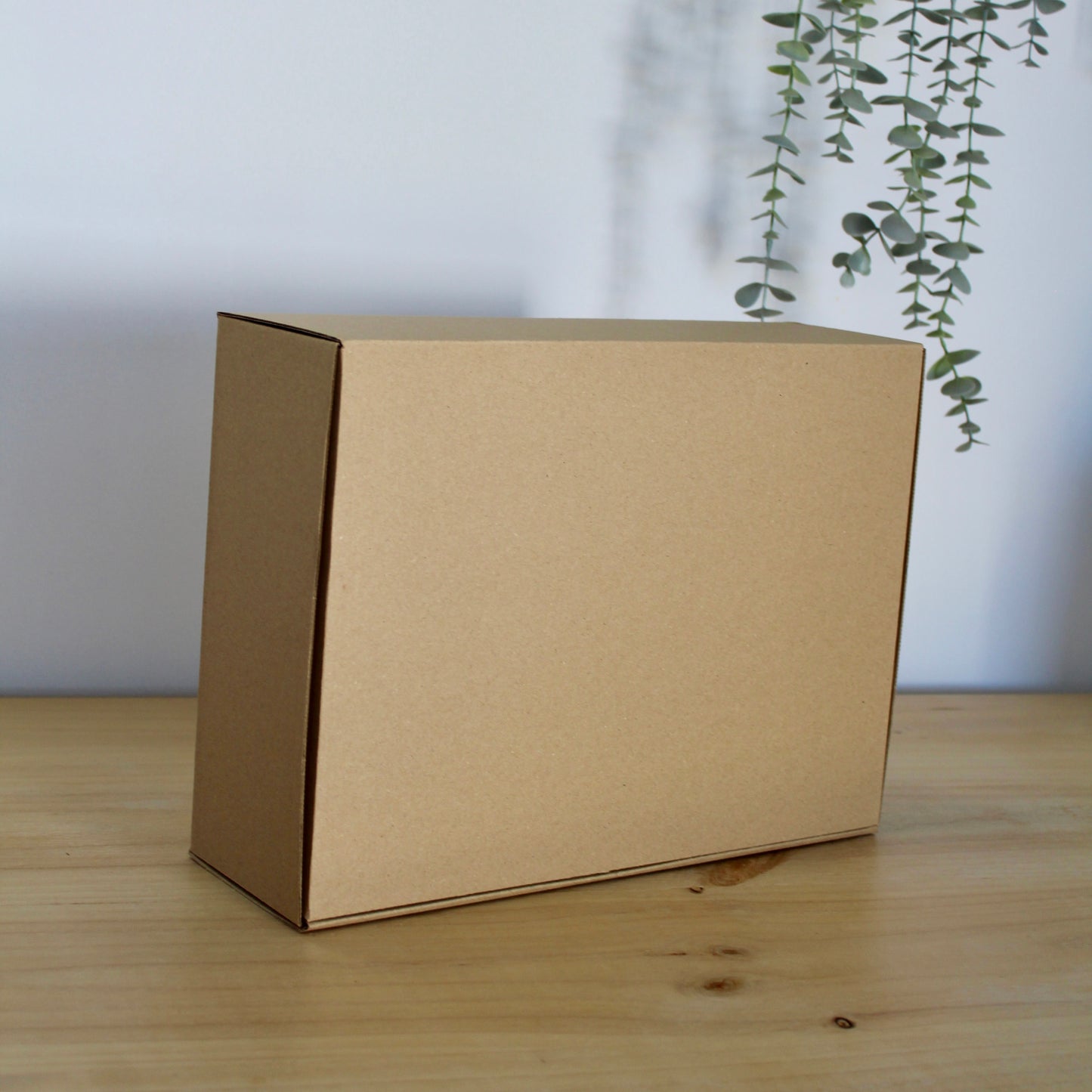CAJA M