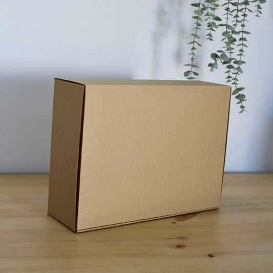 CAJA M