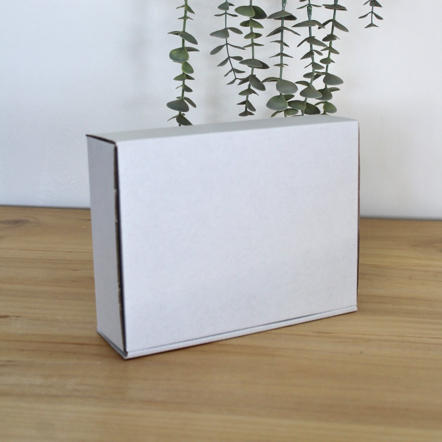 CAJA XS