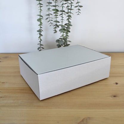 CAJA S