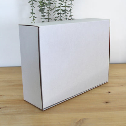 CAJA M