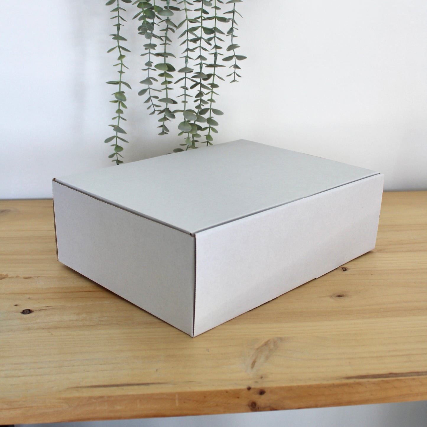 CAJA M