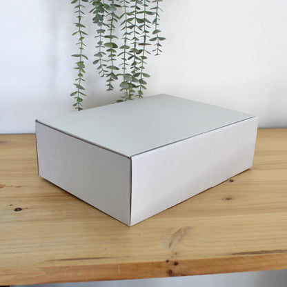 CAJA M