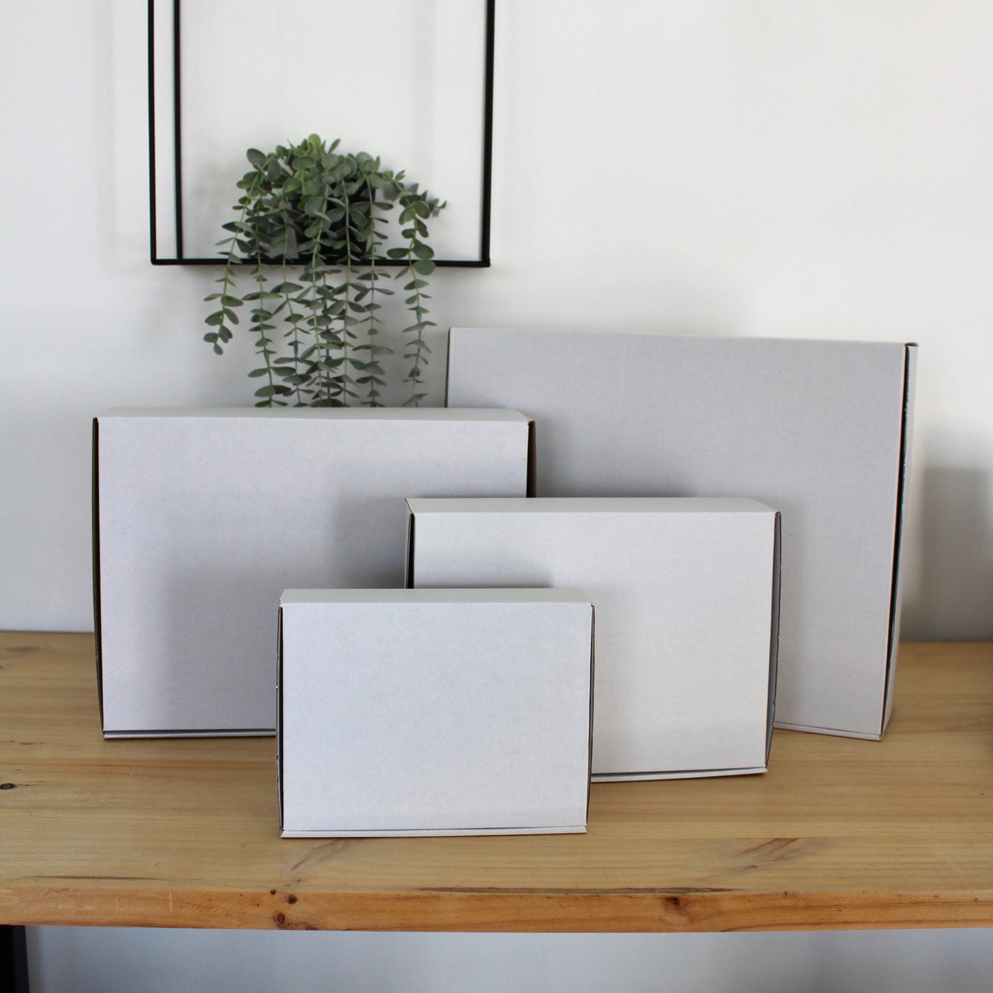 CAJA S